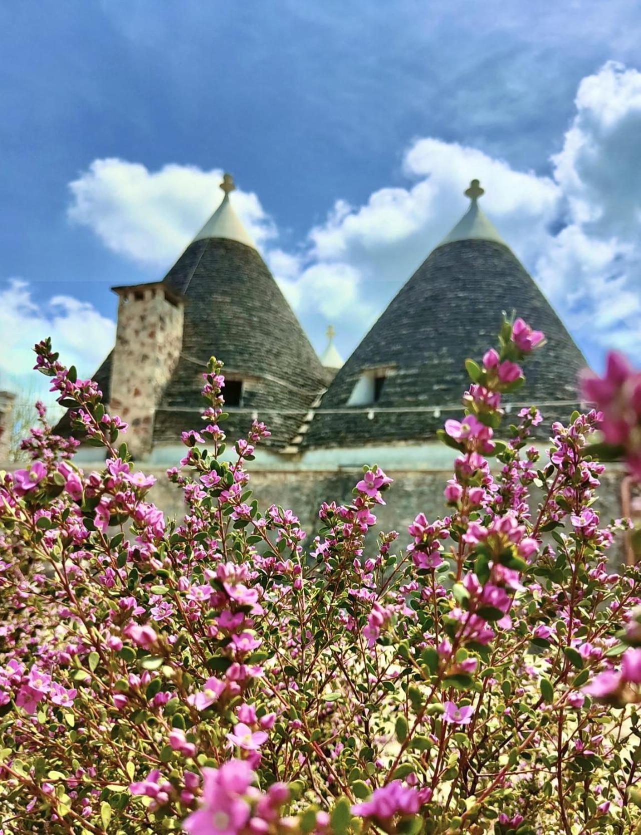 Trulli Allegretti ノーチ エクステリア 写真